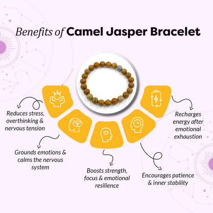 Natural Camel Jasper Chalcedony Bracelet